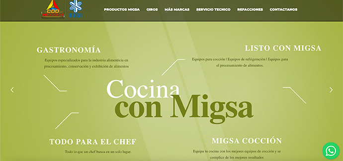 pagina web migsa